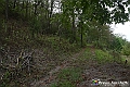 VBS_5426 - C'è un mare di velluto verde! E tu che sognavi di andare lontano... Quanta meraviglia, quì!